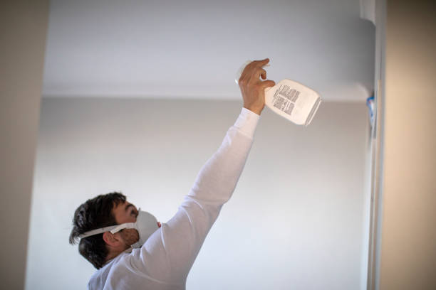 Best Certified Mold Removal  in Christiansburg, VA