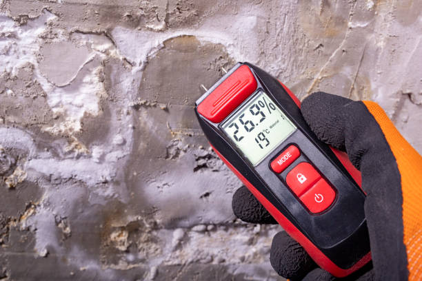 Best Toxic Mold Removal  in Christiansburg, VA