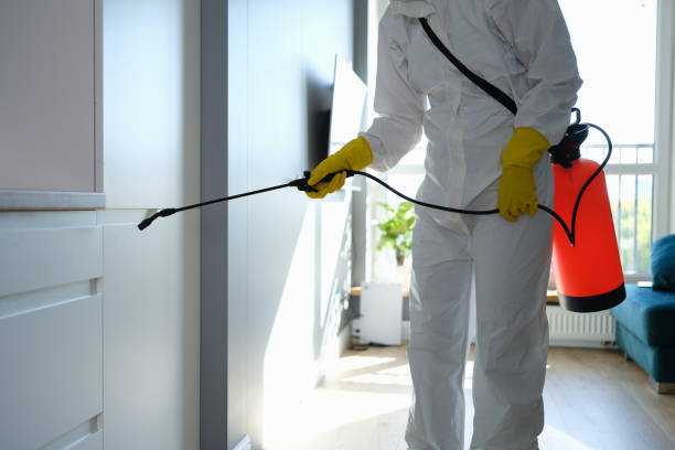  Christiansburg, VA Mold Removal Pros