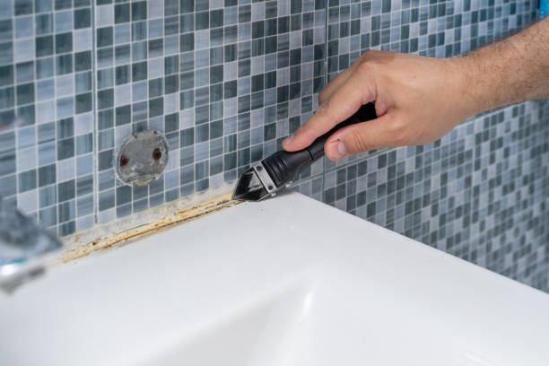 Best Home Mold Removal  in Christiansburg, VA