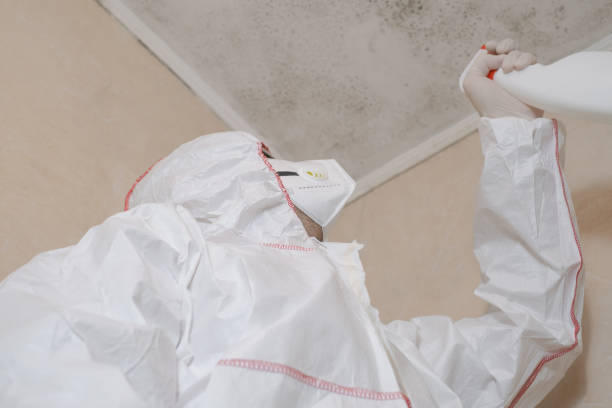Best Fast Mold Removal  in Christiansburg, VA
